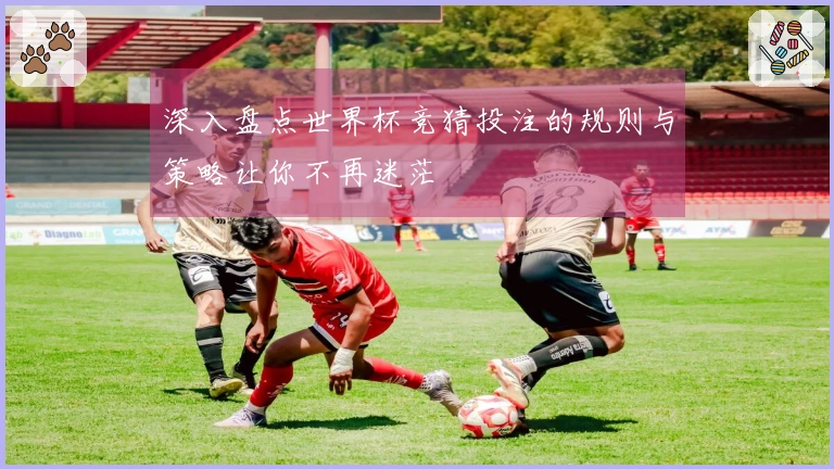 深入盘点世界杯竞猜投注的规则与策略让你不再迷茫