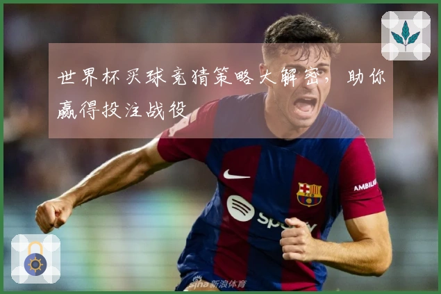 世界杯买球竞猜策略大解密，助你赢得投注战役